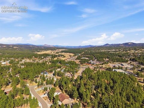 Tiny photo for 1283 Firestone Drive, Woodland Park, CO 80863 (MLS # 2798843)