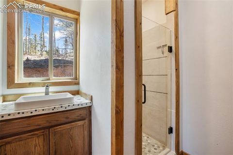 Tiny photo for 2747 County Road 61, Cripple Creek, CO 80813 (MLS # 9460285)