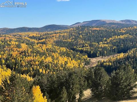Tiny photo for 2747 County Road 61, Cripple Creek, CO 80813 (MLS # 9460285)