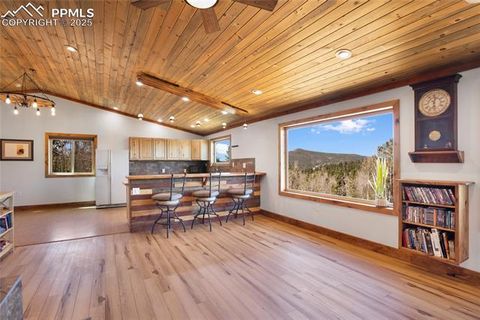 Tiny photo for 2747 County Road 61, Cripple Creek, CO 80813 (MLS # 9460285)