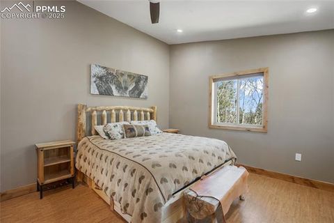 Tiny photo for 2747 County Road 61, Cripple Creek, CO 80813 (MLS # 9460285)