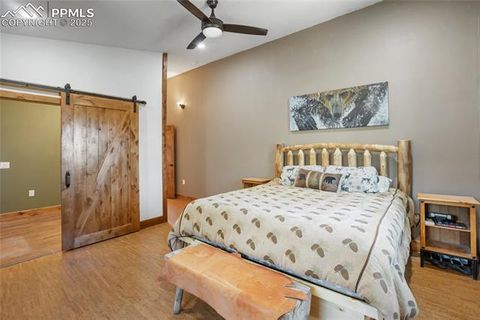 Tiny photo for 2747 County Road 61, Cripple Creek, CO 80813 (MLS # 9460285)