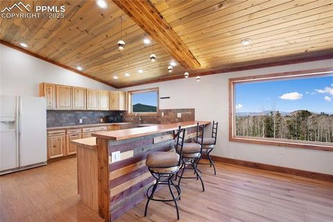 Tiny photo for 2747 County Road 61, Cripple Creek, CO 80813 (MLS # 9460285)