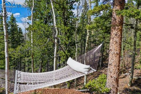 Tiny photo for 2747 County Road 61, Cripple Creek, CO 80813 (MLS # 9460285)