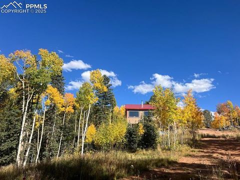 Tiny photo for 2747 County Road 61, Cripple Creek, CO 80813 (MLS # 9460285)