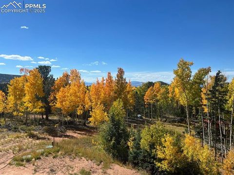 Tiny photo for 2747 County Road 61, Cripple Creek, CO 80813 (MLS # 9460285)