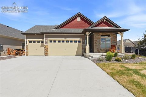 Photo of 5989 Bennach Grove, Colorado Springs, CO 80927 (MLS # 8637194)