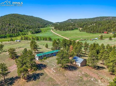 Photo of 332 Valley Circle, Guffey, CO 80816 (MLS # 6353709) Photo of 332 Valley Circle, Guffey, CO 80816 (MLS # 6353709)