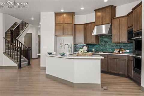 Tiny photo for 8980 Frolic View, Colorado Springs, CO 80924 (MLS # 6209488)