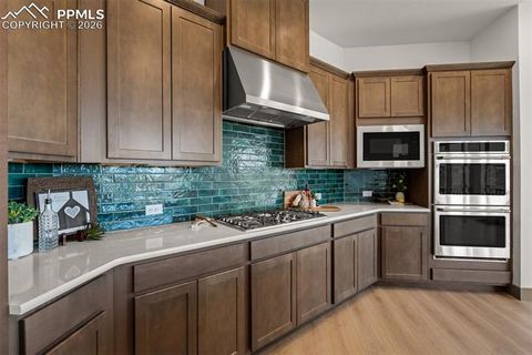 Tiny photo for 8980 Frolic View, Colorado Springs, CO 80924 (MLS # 6209488)