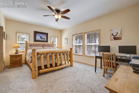 Tiny photo for 858 Fossil Creek Road, Florissant, CO 80816 (MLS # 4891967)