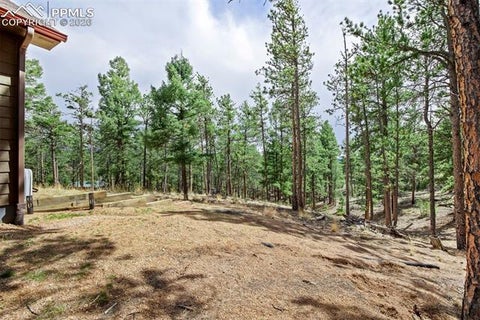 Tiny photo for 858 Fossil Creek Road, Florissant, CO 80816 (MLS # 4891967)