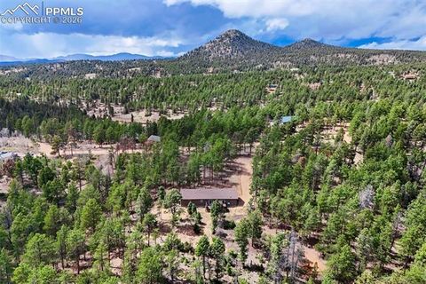Tiny photo for 858 Fossil Creek Road, Florissant, CO 80816 (MLS # 4891967)