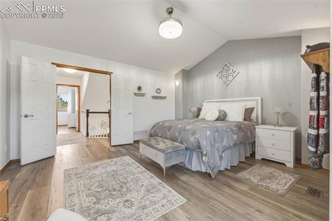 Tiny photo for 437 McShane Place, Monument, CO 80132 (MLS # 2818649)