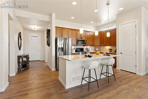 Tiny photo for 15625 Blue Pearl Court, Colorado Springs, CO 80921 (MLS # 3713200)