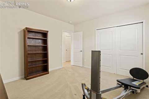 Tiny photo for 15625 Blue Pearl Court, Colorado Springs, CO 80921 (MLS # 3713200)