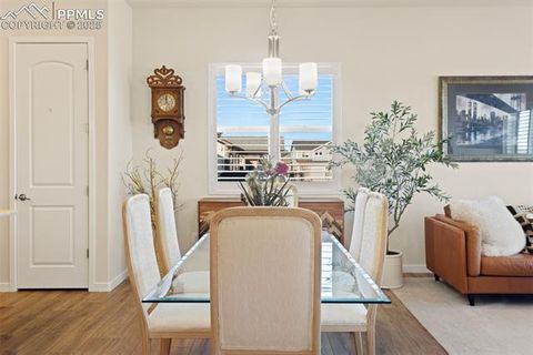 Tiny photo for 15625 Blue Pearl Court, Colorado Springs, CO 80921 (MLS # 3713200)