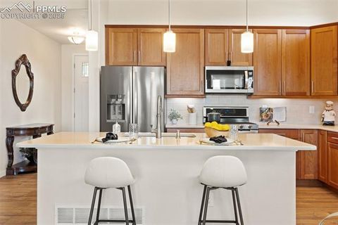 Tiny photo for 15625 Blue Pearl Court, Colorado Springs, CO 80921 (MLS # 3713200)