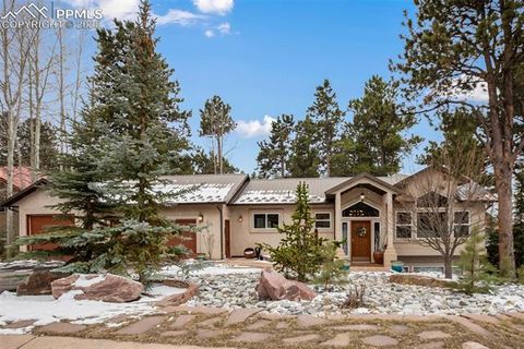 641 Skyline Drive Woodland Park CO 80863