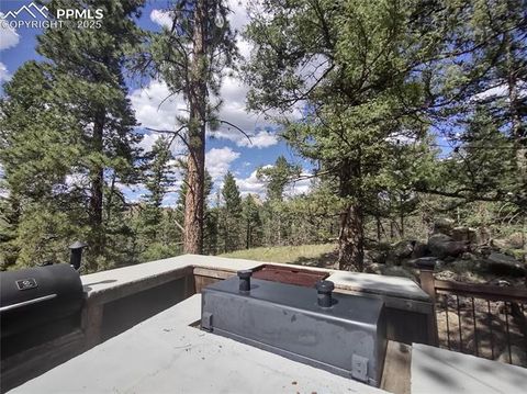 Photo of 1176 Trail Creek Road, Lake George, CO 80827 (MLS # 3229859) Photo of 1176 Trail Creek Road, Lake George, CO 80827 (MLS # 3229859)