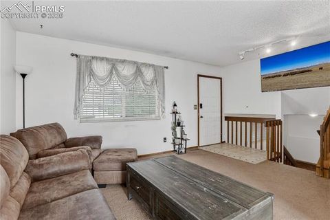Tiny photo for 7350 Waterwheel Street, Colorado Springs, CO 80911 (MLS # 4763557)