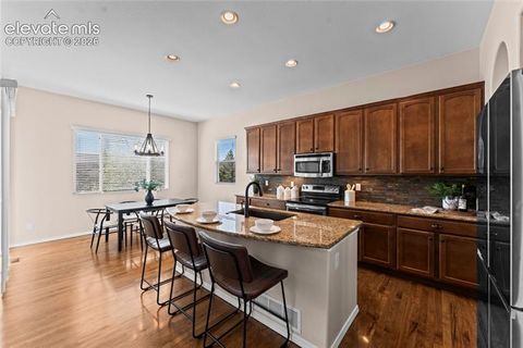Tiny photo for 6167 Leon Young Drive, Colorado Springs, CO 80924 (MLS # 9806887)