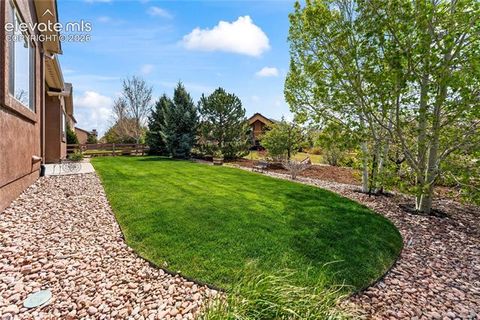 Tiny photo for 6167 Leon Young Drive, Colorado Springs, CO 80924 (MLS # 9806887)