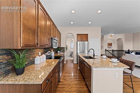 Tiny photo for 6167 Leon Young Drive, Colorado Springs, CO 80924 (MLS # 9806887)