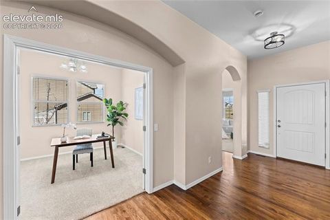 Tiny photo for 6167 Leon Young Drive, Colorado Springs, CO 80924 (MLS # 9806887)