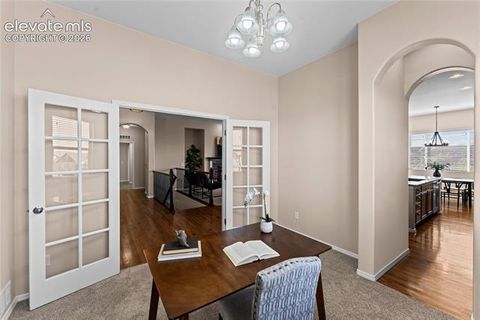 Tiny photo for 6167 Leon Young Drive, Colorado Springs, CO 80924 (MLS # 9806887)