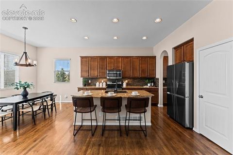 Tiny photo for 6167 Leon Young Drive, Colorado Springs, CO 80924 (MLS # 9806887)