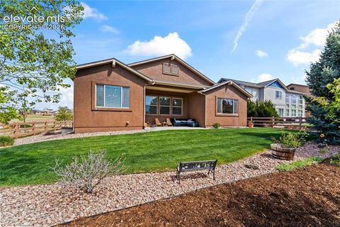 Tiny photo for 6167 Leon Young Drive, Colorado Springs, CO 80924 (MLS # 9806887)