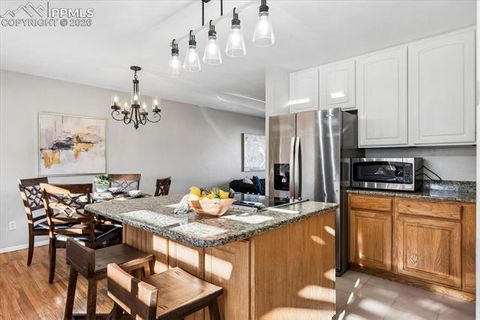 Tiny photo for 829 Dirksland Street, Colorado Springs, CO 80907 (MLS # 7673828)