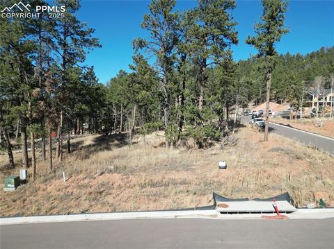 Photo of 1310 Blue Haven Place, Woodland Park, CO 80863 (MLS # 9509320)