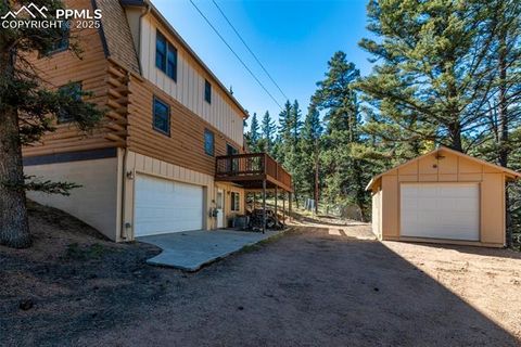 Tiny photo for 457 Stonehenge Drive, Florissant, CO 80816 (MLS # 8829312)