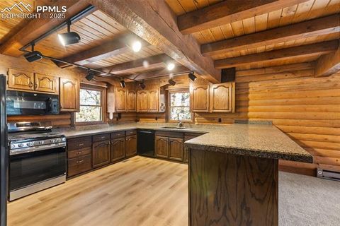 Tiny photo for 457 Stonehenge Drive, Florissant, CO 80816 (MLS # 8829312)