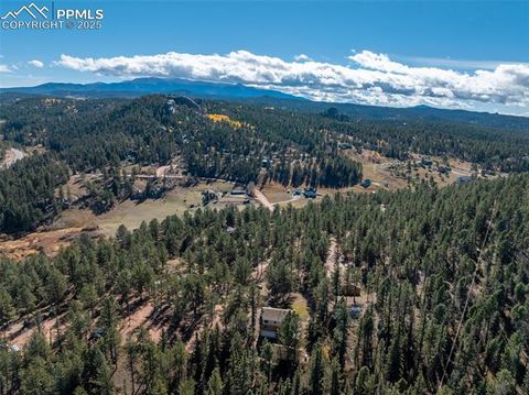 Tiny photo for 457 Stonehenge Drive, Florissant, CO 80816 (MLS # 8829312)