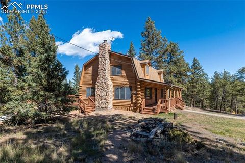 Tiny photo for 457 Stonehenge Drive, Florissant, CO 80816 (MLS # 8829312)