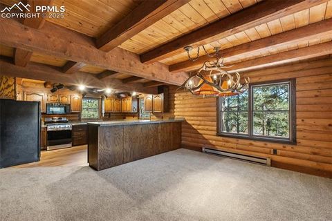 Tiny photo for 457 Stonehenge Drive, Florissant, CO 80816 (MLS # 8829312)
