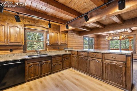 Tiny photo for 457 Stonehenge Drive, Florissant, CO 80816 (MLS # 8829312)
