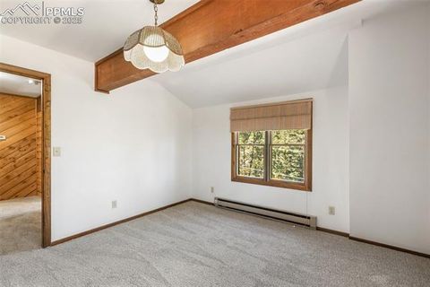 Tiny photo for 457 Stonehenge Drive, Florissant, CO 80816 (MLS # 8829312)
