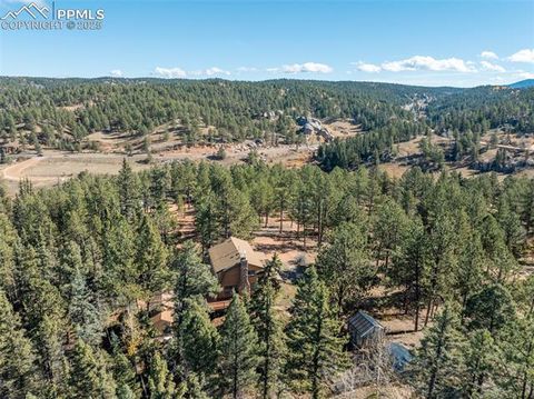 Tiny photo for 457 Stonehenge Drive, Florissant, CO 80816 (MLS # 8829312)