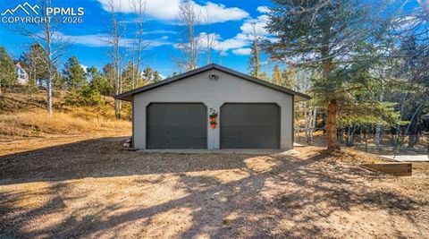 Tiny photo for 721 Sunnywood Place, Woodland Park, CO 80863 (MLS # 5770103)