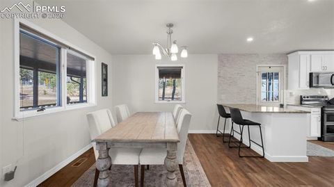 Tiny photo for 721 Sunnywood Place, Woodland Park, CO 80863 (MLS # 5770103)