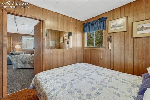 Tiny photo for 101 Dunlap Drive, Florissant, CO 80816 (MLS # 1619842)