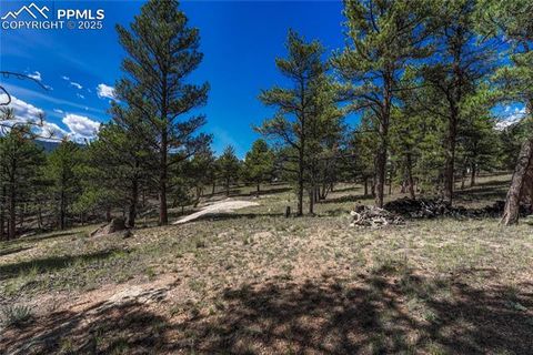 Tiny photo for 101 Dunlap Drive, Florissant, CO 80816 (MLS # 1619842)