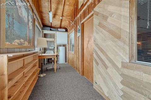 Tiny photo for 101 Dunlap Drive, Florissant, CO 80816 (MLS # 1619842)
