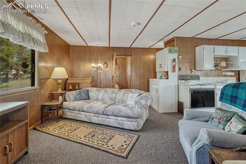 Tiny photo for 101 Dunlap Drive, Florissant, CO 80816 (MLS # 1619842)