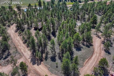 Tiny photo for 101 Dunlap Drive, Florissant, CO 80816 (MLS # 1619842)