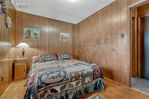 Tiny photo for 101 Dunlap Drive, Florissant, CO 80816 (MLS # 1619842)